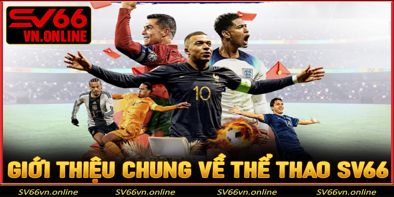 Giới thiệu chung về sảnh thể thao SV66